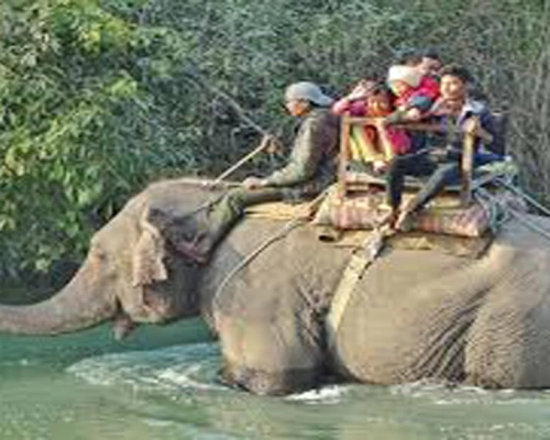 Bardiya National Park .