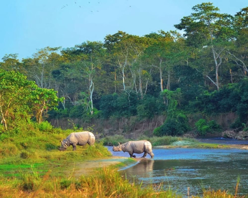 Chitwan Saurah Safari ,